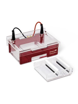 Compact M