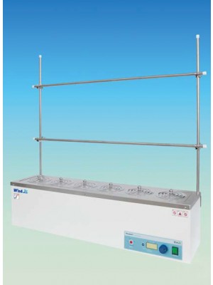 WEB-6