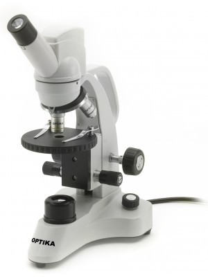 DM-5