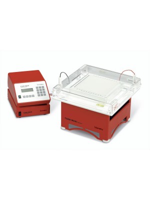 TGGE Maxi System